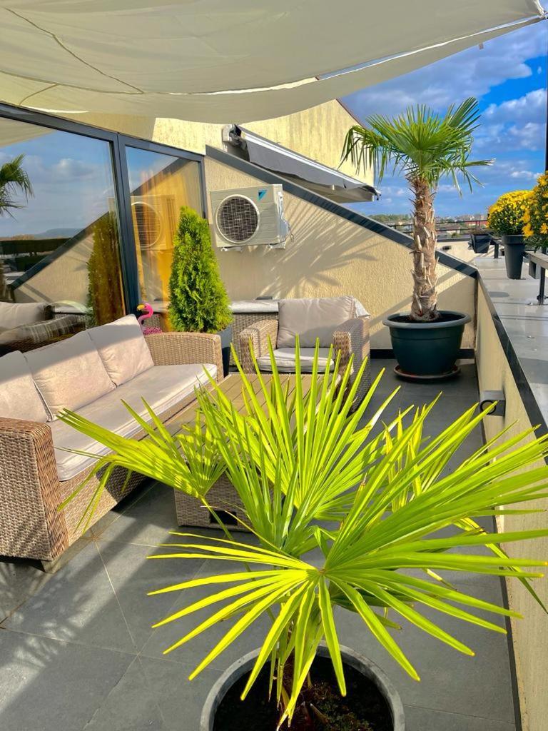 Penthouse Exclusive View , Iasi 아파트 외부 사진